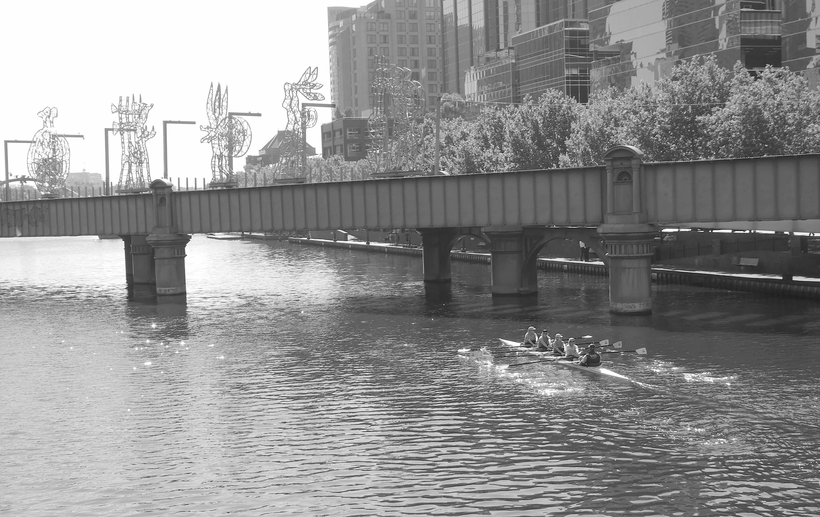 23.rowers